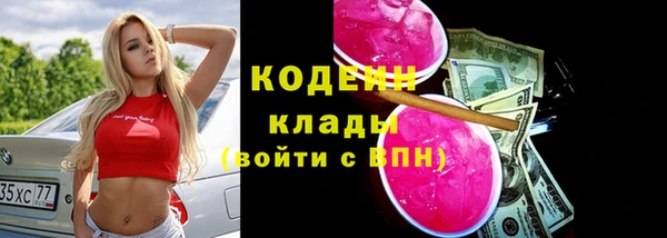 гидра Арсеньев