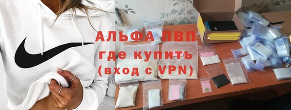 гидра Арсеньев