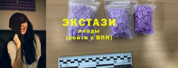 гидра Арсеньев