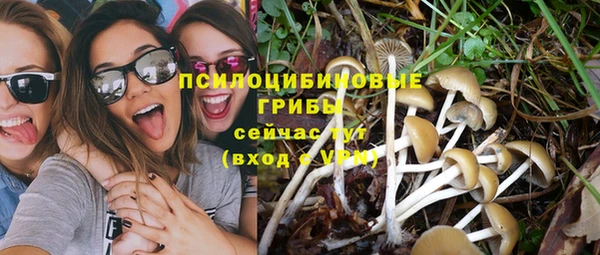 гашик Баксан