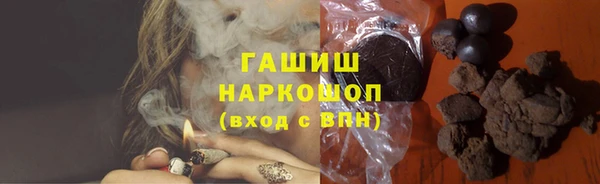 гидра Арсеньев