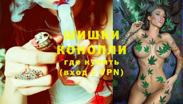 дживик Аркадак
