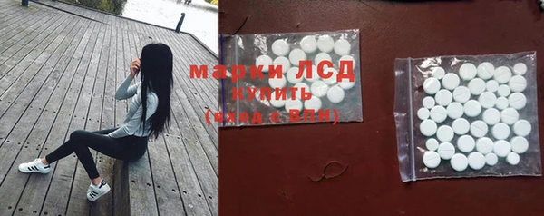дживик Аркадак