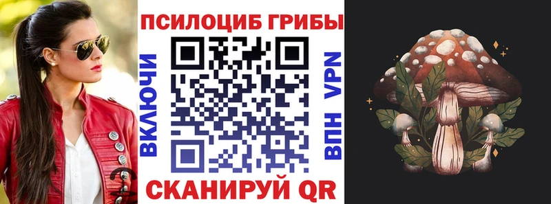 дарк нет телеграм  мега онион  Сорочинск  наркошоп  Галлюциногенные грибы MAGIC MUSHROOMS 